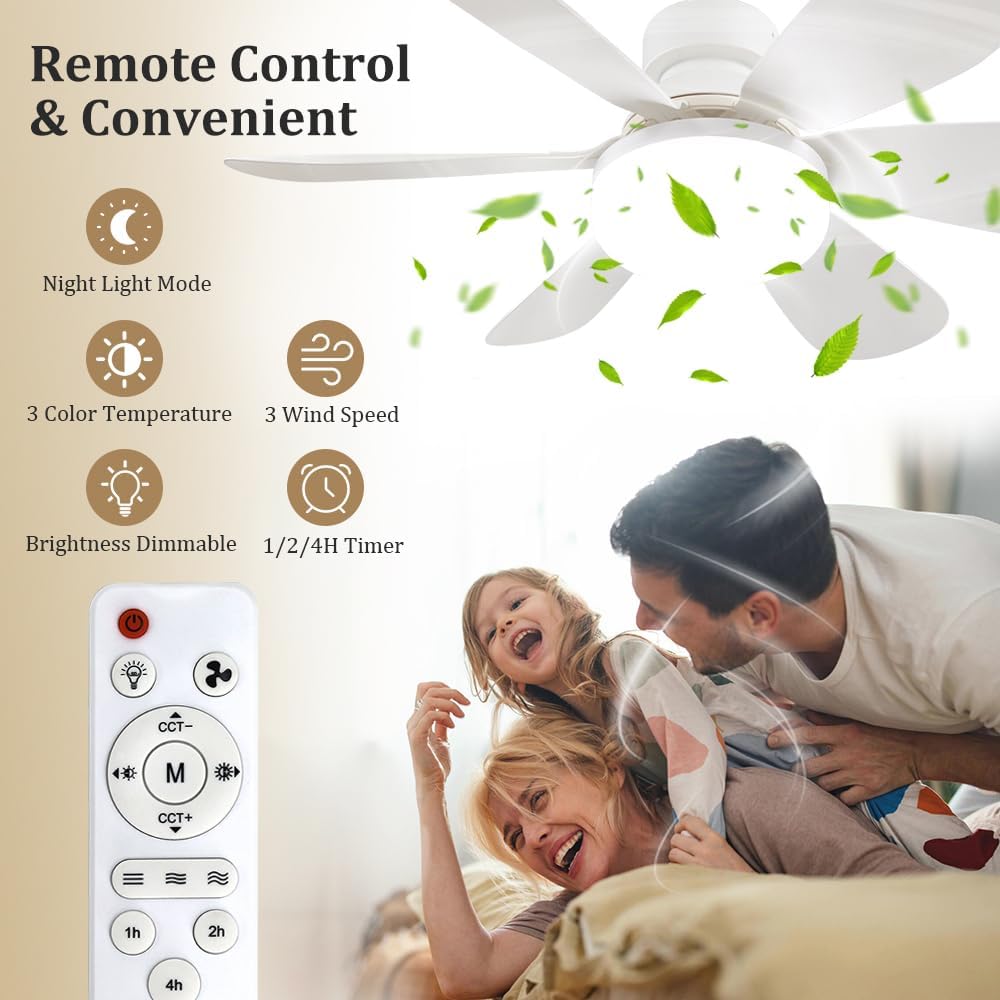 Socket Fan Light with Remote,  - Home Lighting And Decor recension och pris