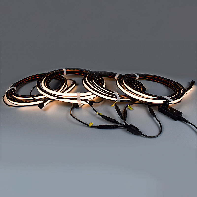 Smart APP Control Plug-in And  - Decor Lighting Solution recension och pris