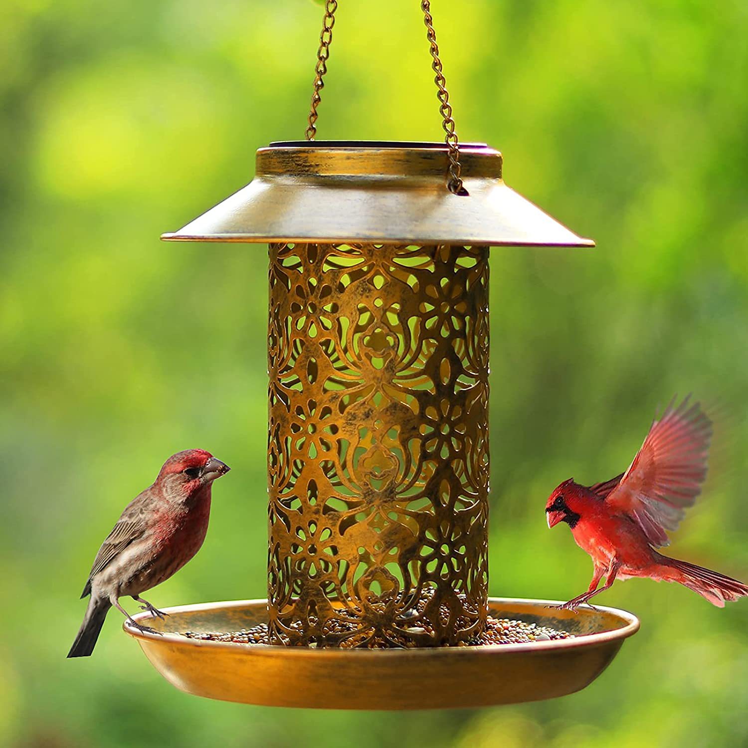 Hanging Bird House Metal Outdo - Outdoor Lighting Decor Ideas recension och pris